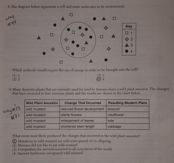 Unofficial Answers to the June, 2016 Living Environment Regents