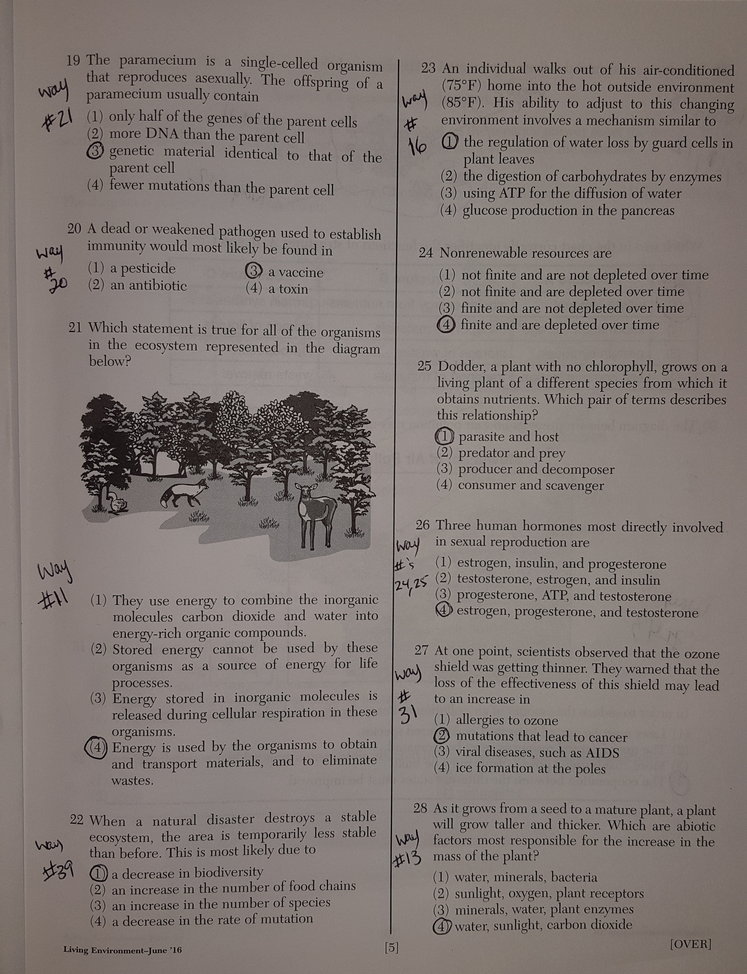 Living Environment Regents 2025 Answer Key Clio Melody